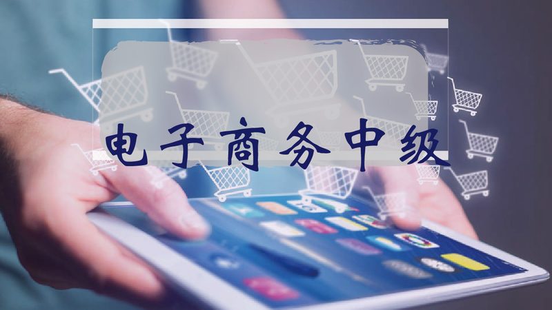 品牌独立站搭建预算明细